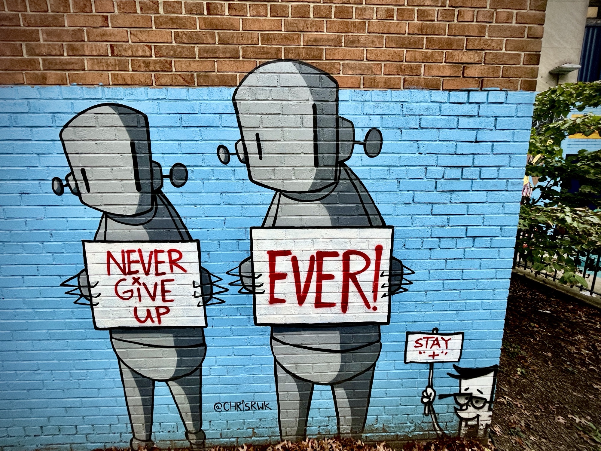 Never Give Up Ever Graffiti