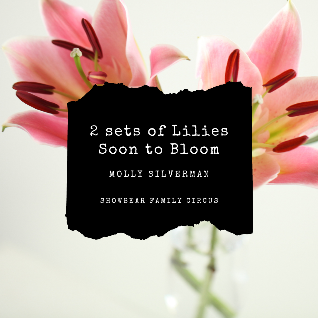 2 sets of Lilies Soon to Bloom. Molly Silverman.