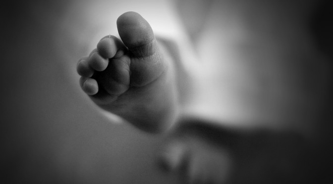 novels like babies don't need perfect parents lance schaubert brooklyn author poet musician