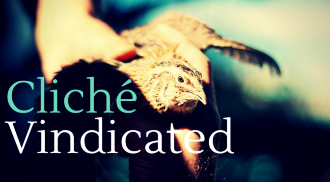 Cliché Vindicated: Concessions to Ms. Eberhardt