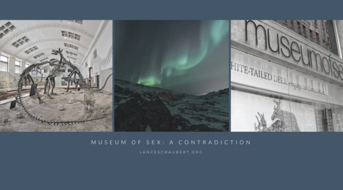 museum of sex a contradiction lance schaubert