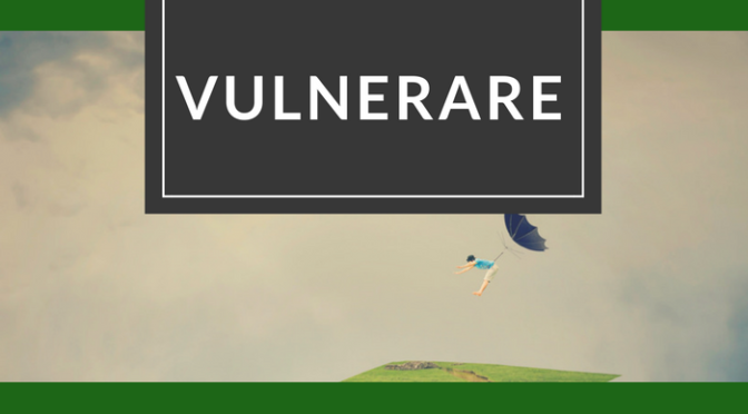 vlunerare