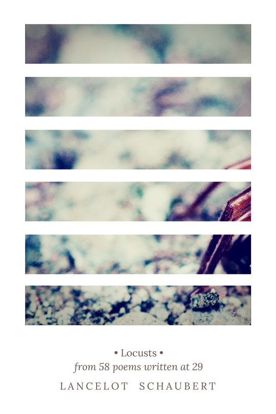 locusts • from 58 poems written at 29 (1)