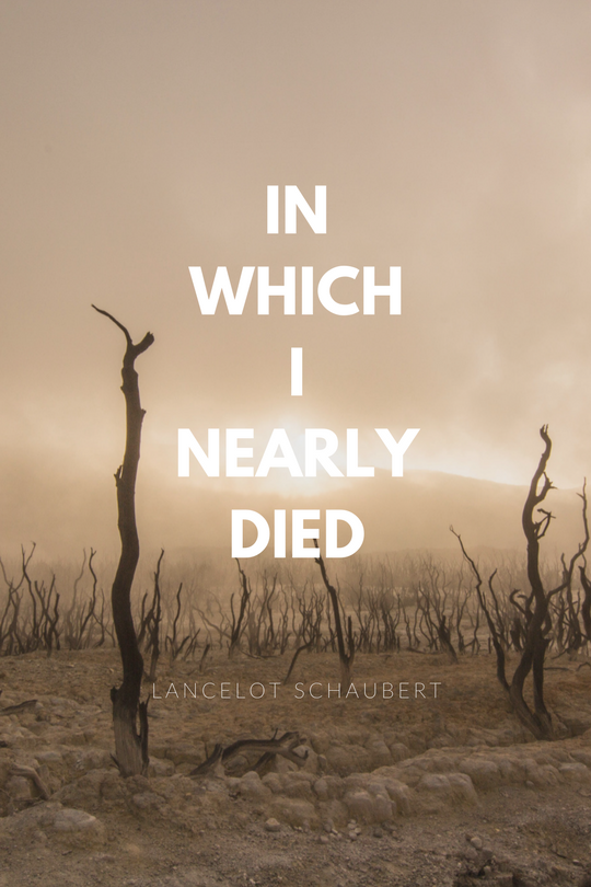 in which i nearly died