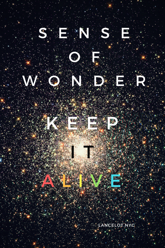 Sense of Wonder : Awaken and Enliven