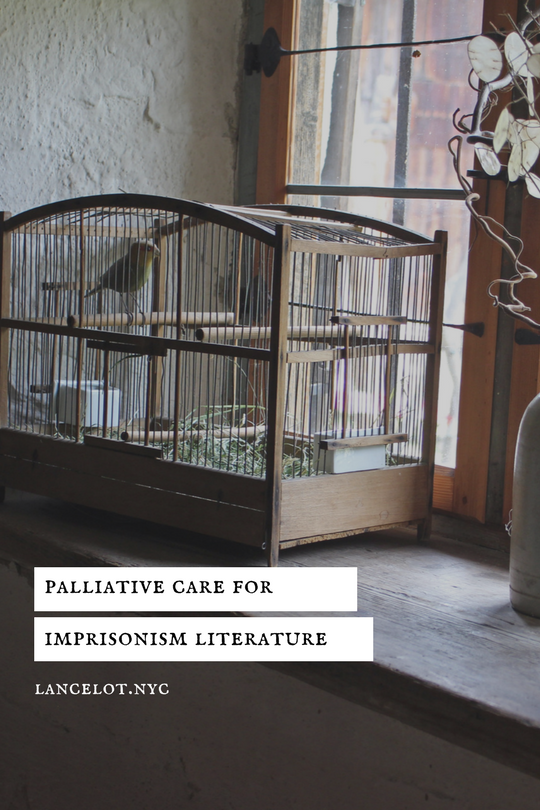 Palliative Care for Imprisonism Literature