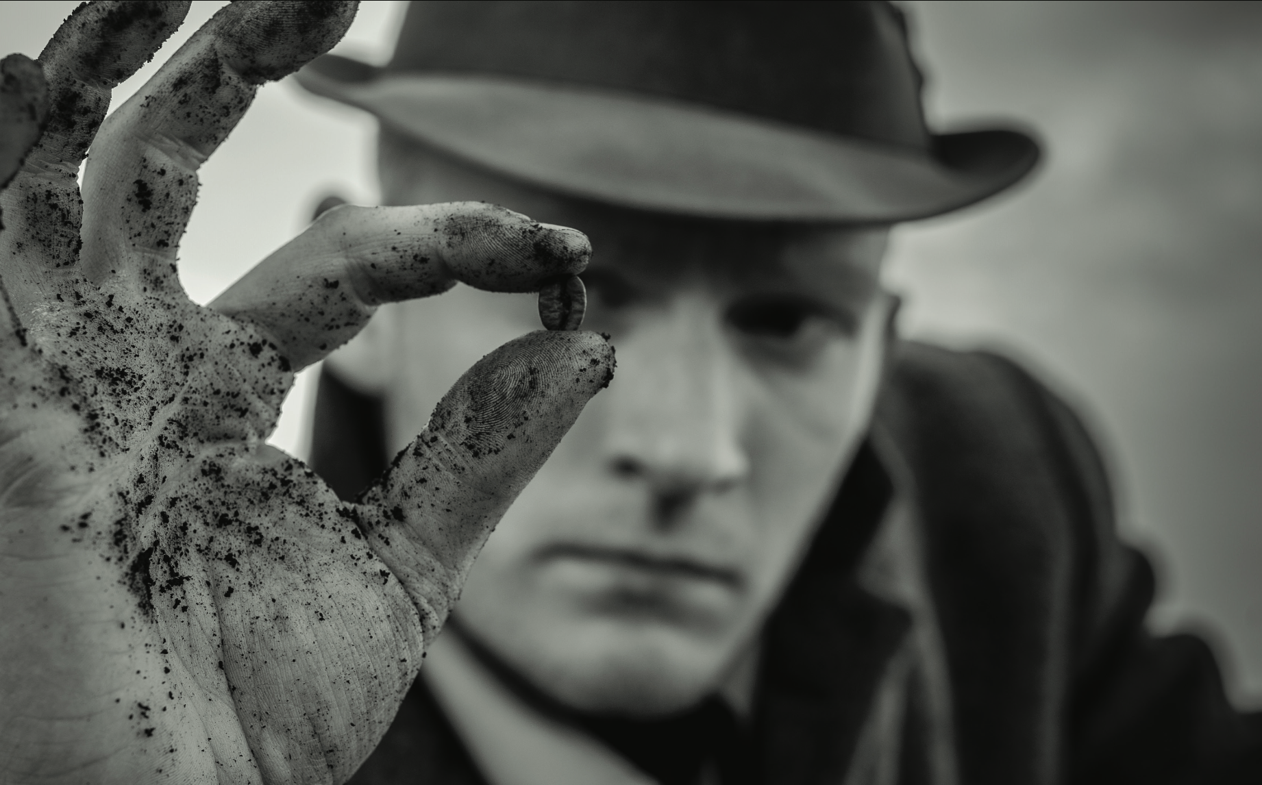 Cold Brewed 003 — Spent Grounds