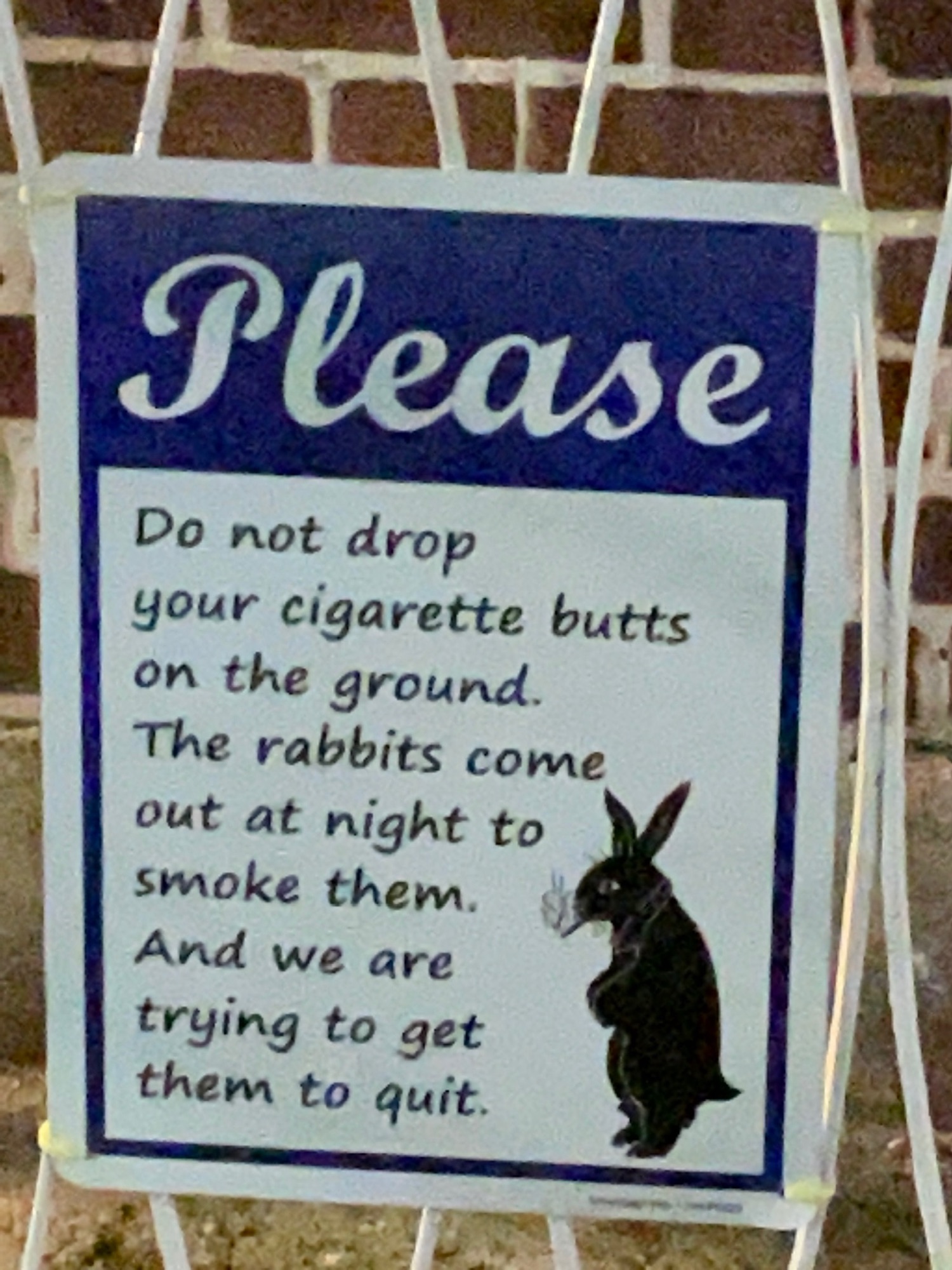 Rabbit Cigarette Butts — Unique New York Signs
