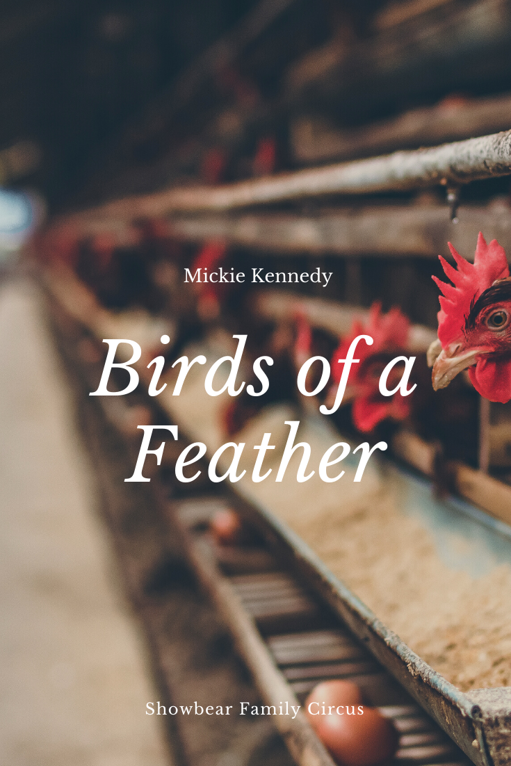 Birds of a Feather. Mickie Kennedy.