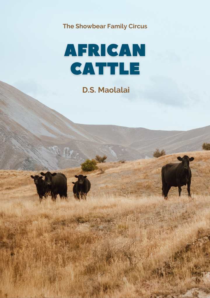 African cattle.
