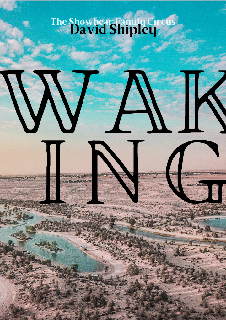 David Shipley. WAKING