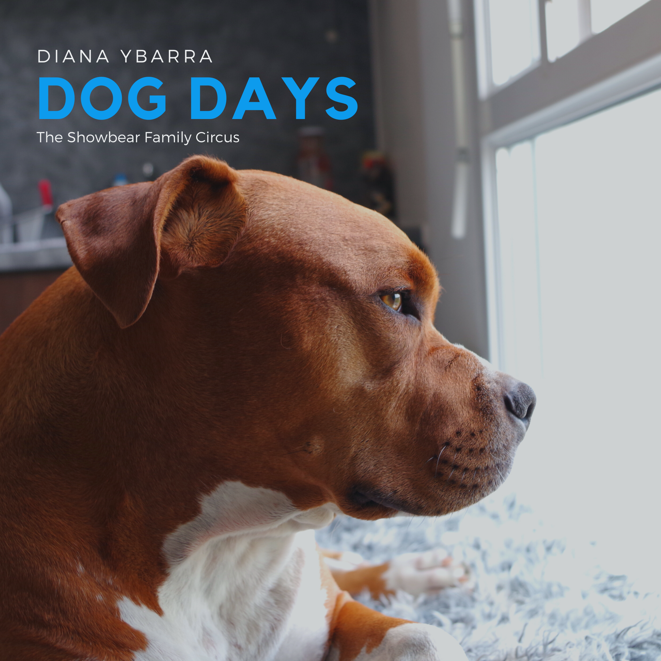 Diana Ybarra. Dog Days.