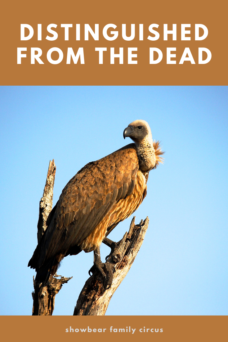 Distinguished from the Dead