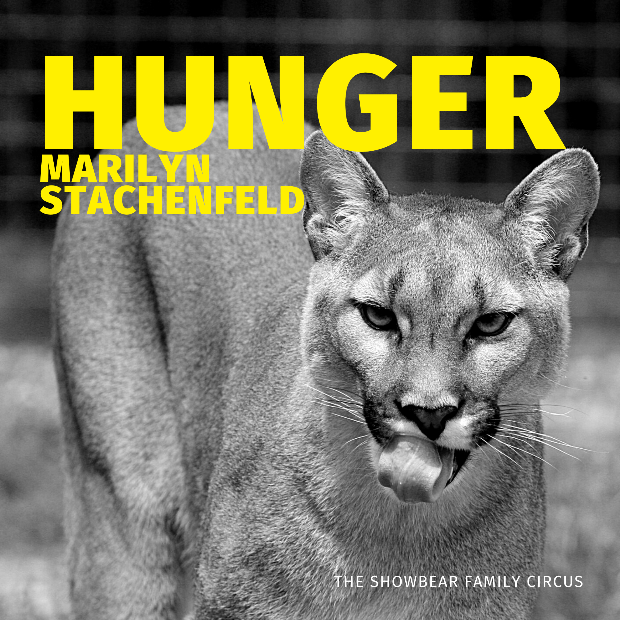 Hunger. Marilyn Stachenfeld.
