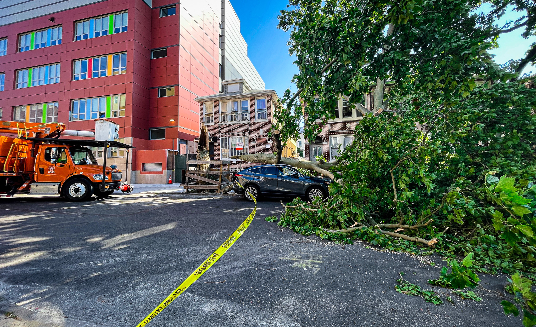 If my tree falls on neighbor’s car who is responsible ?