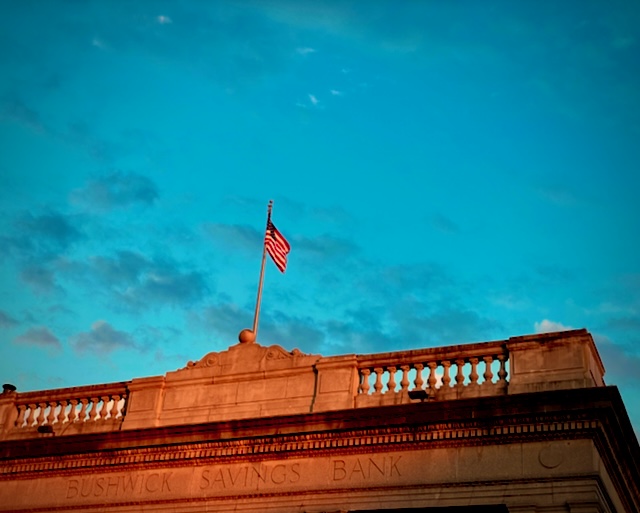 bushwhack savings bank