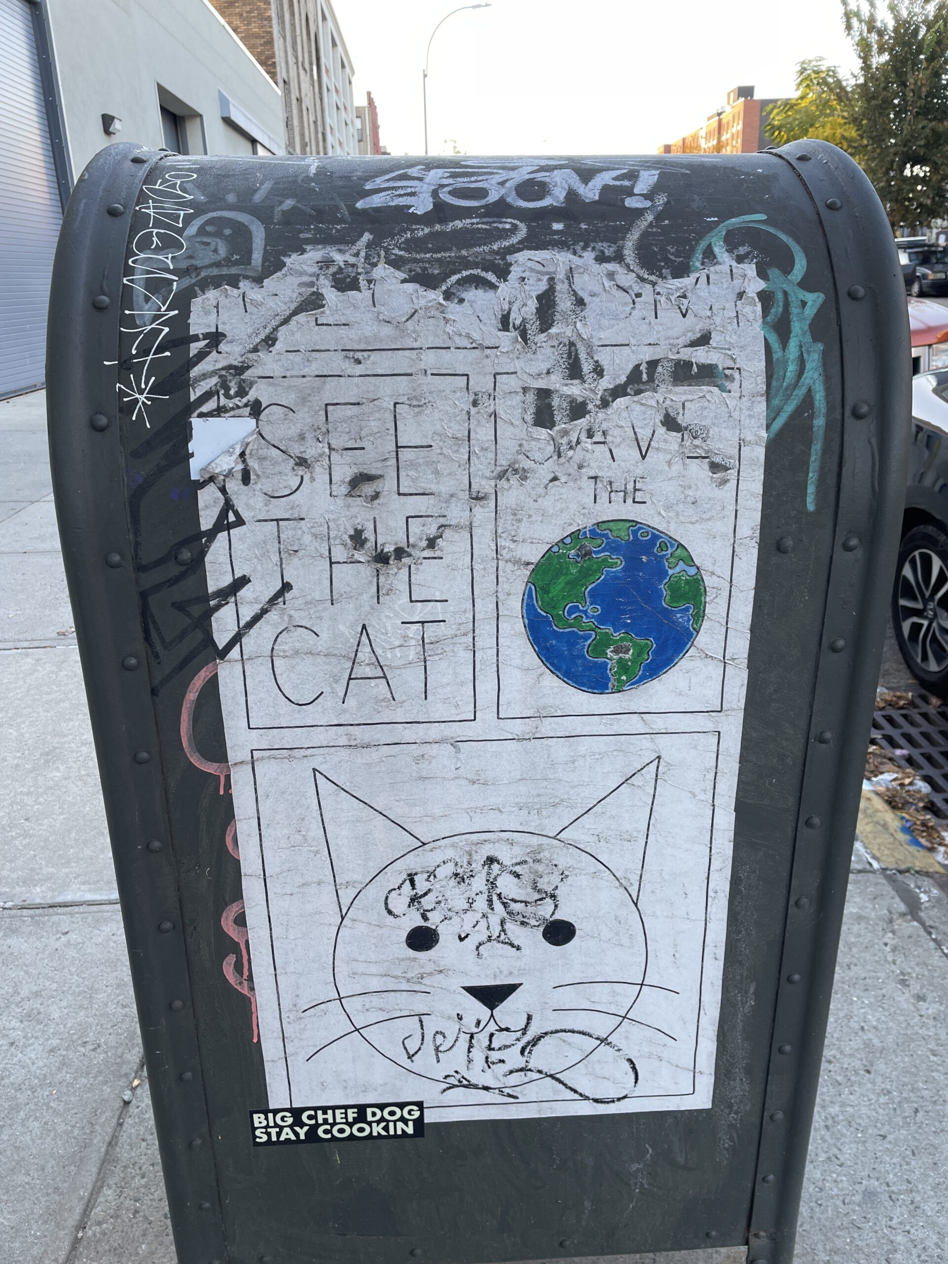 see the cat graffiti