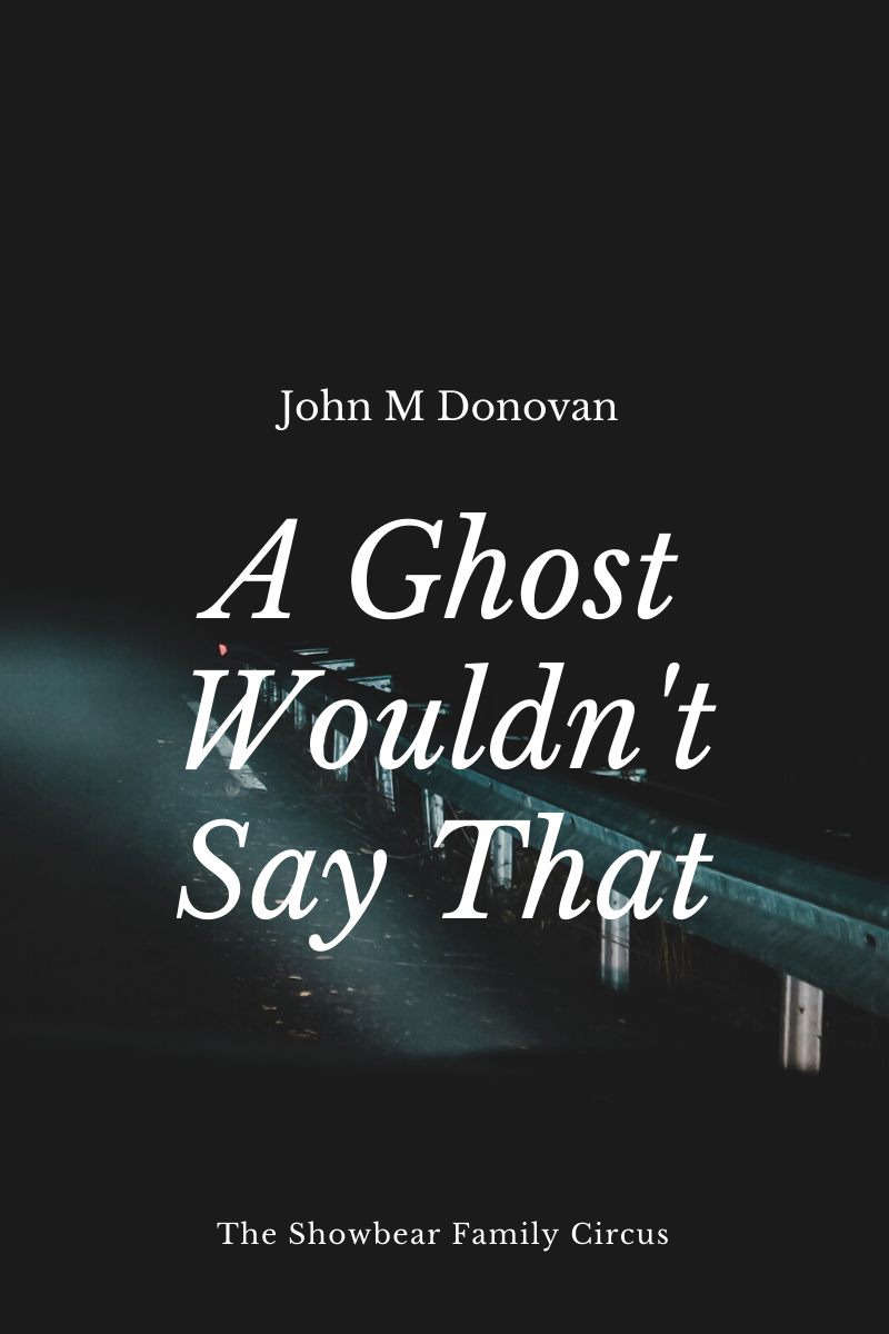 John M Donovan. A Ghost Wouldn't Say That.
