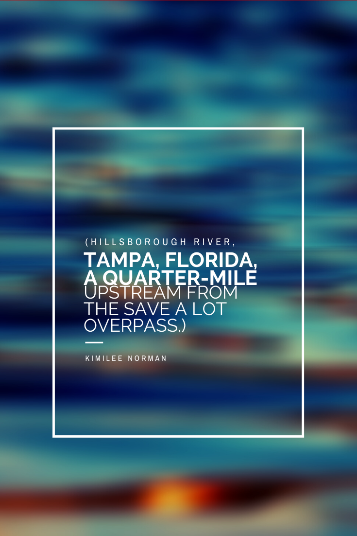 Kimilee Norman. Hillsborough River.