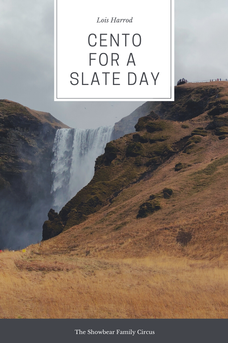 Lois Harrod. Cento for a Slate Day.