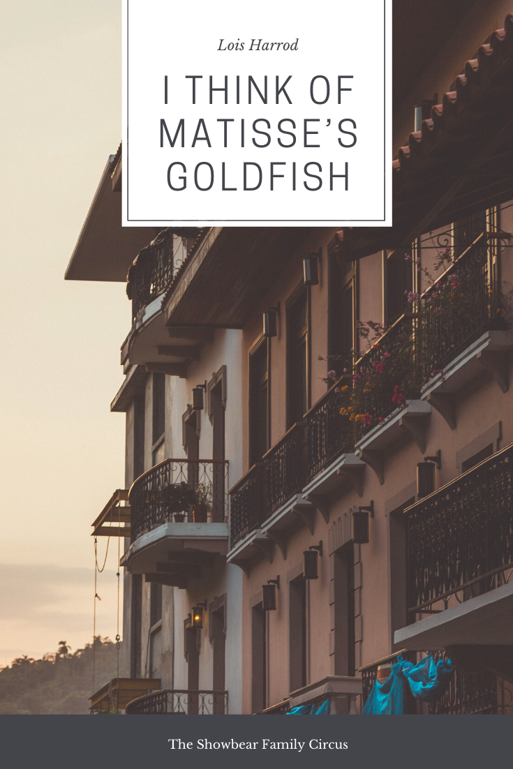 I think of Matisse’s goldfish