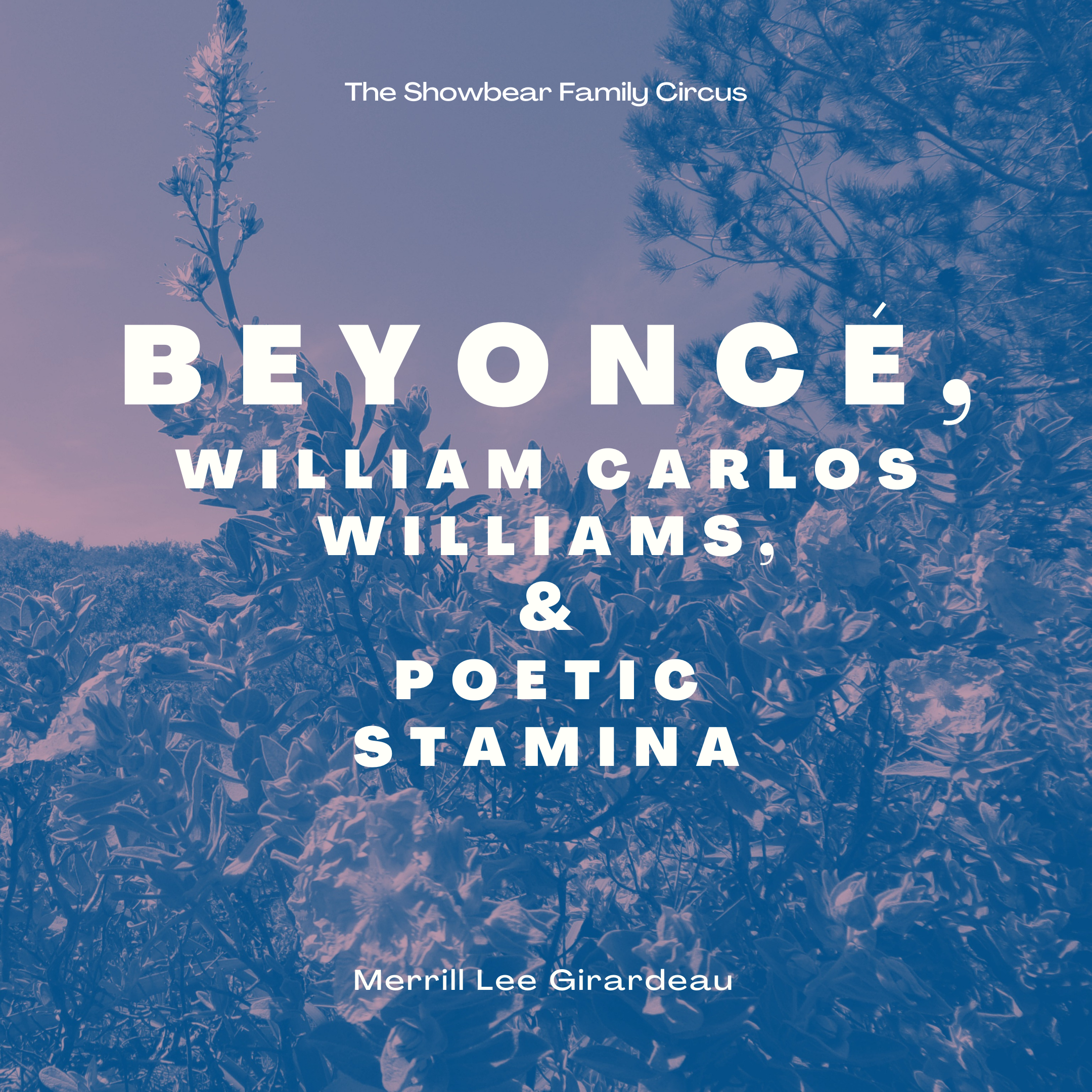 Beyoncé, William Carlos Williams, and Poetic Stamina
