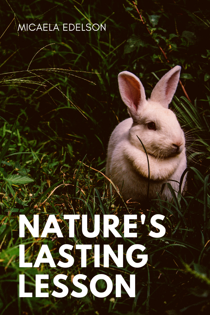 Nature’s Lasting Lesson