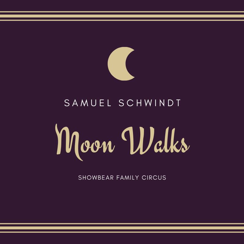Moon Walks