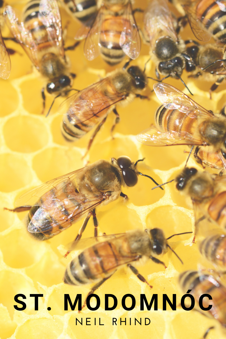 Neil Rhind. St Modomnóc.