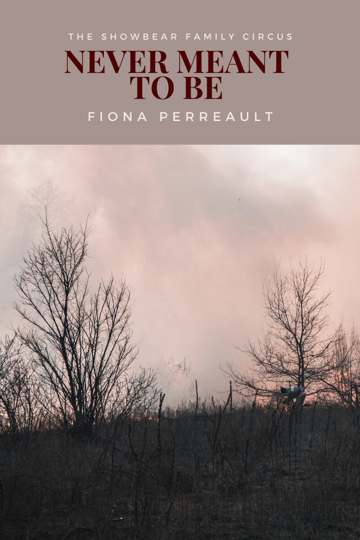 Never Meant to Be. Fiona Perreault.