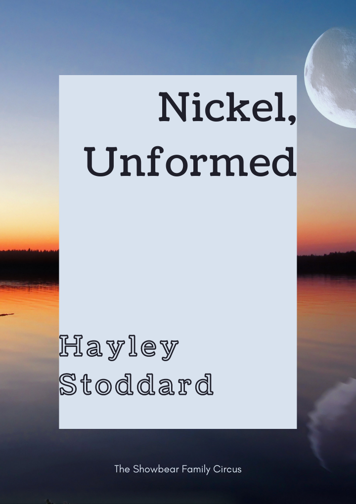 "Nickel, Unformed. Hayley Stoddard."