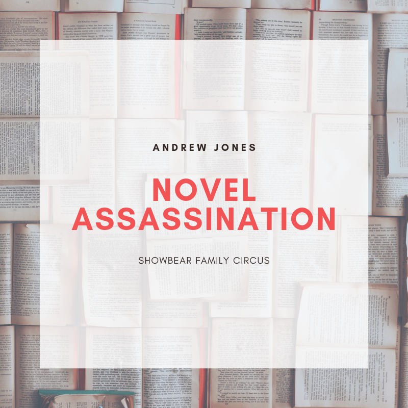 Novel Assassination