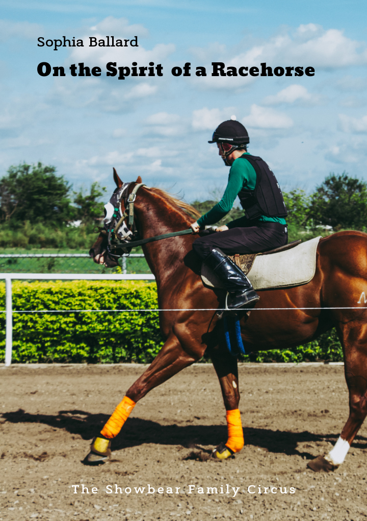 On the Spirit of a Racehorse