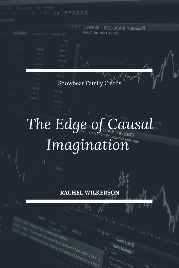 Rachel Wilkerson. Edge of Causal Imagination.