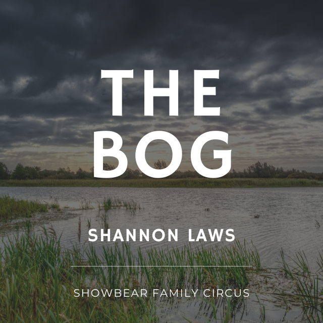 Bog by Shannon Laws