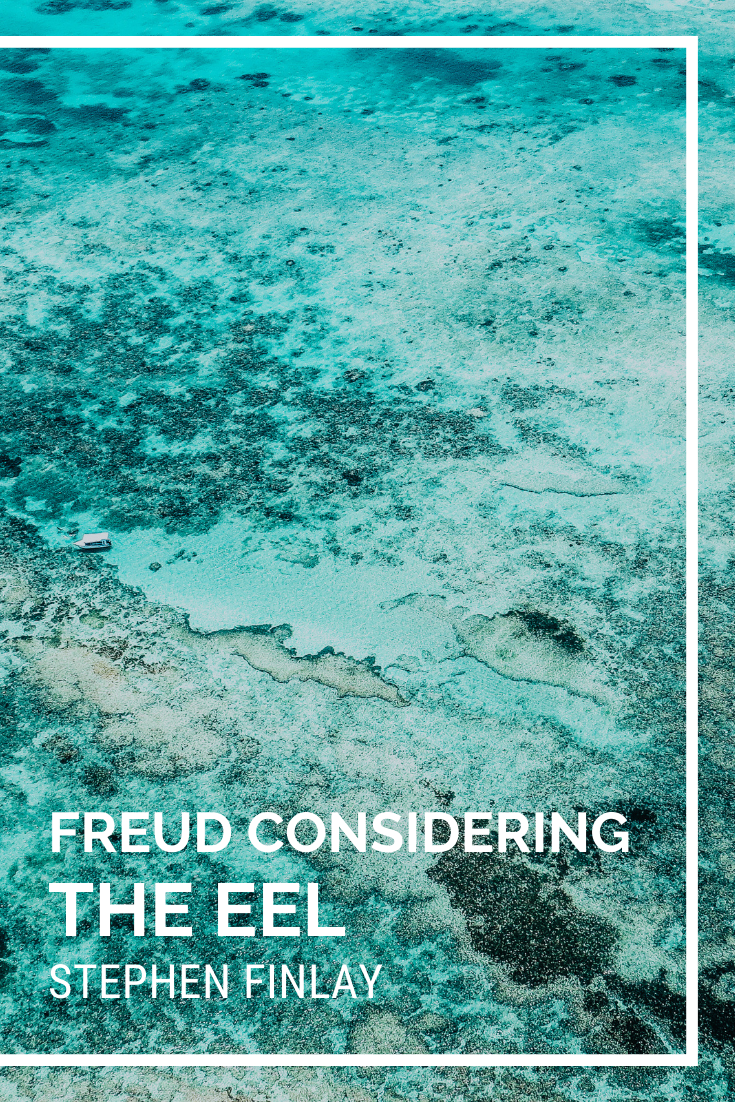 Freud Considering the Eel