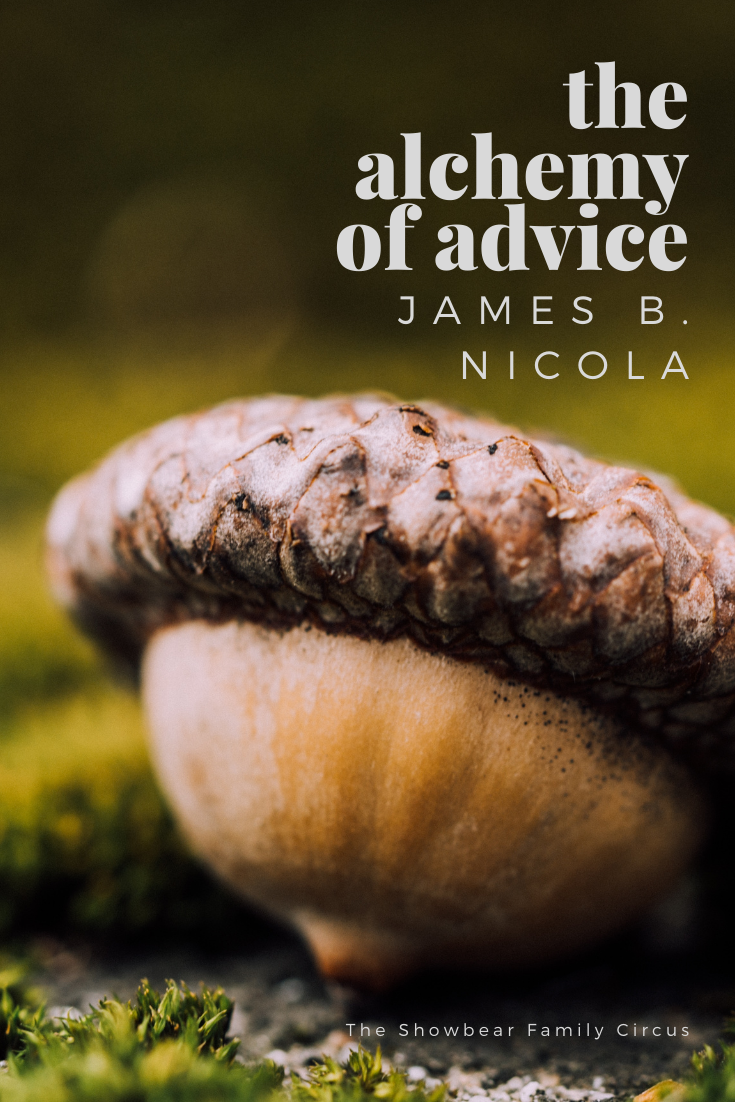 The Alchemy of Advice. James B. Nicola.