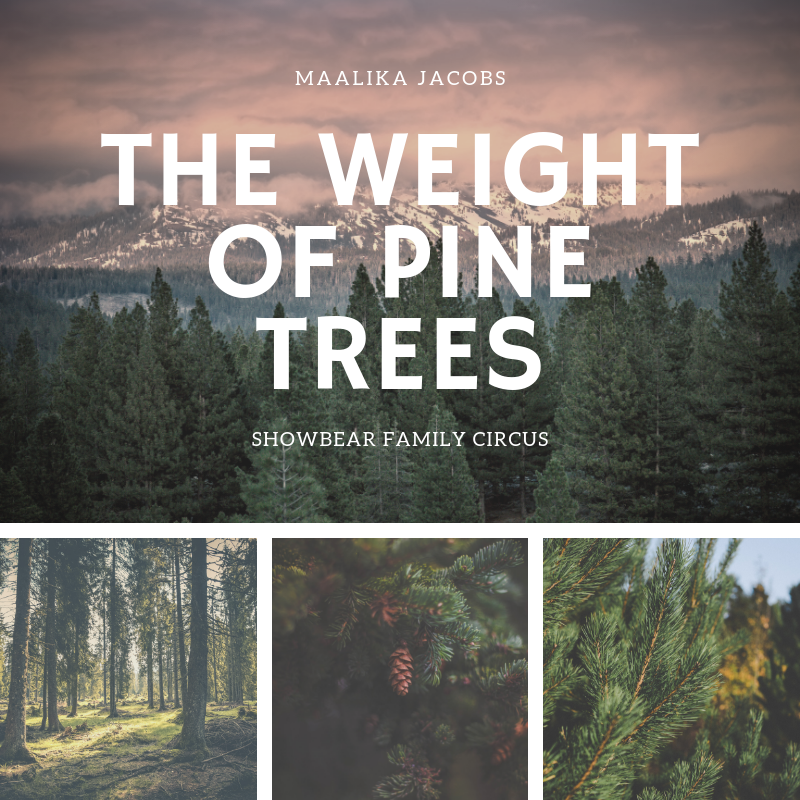 The Weight of Pine Trees