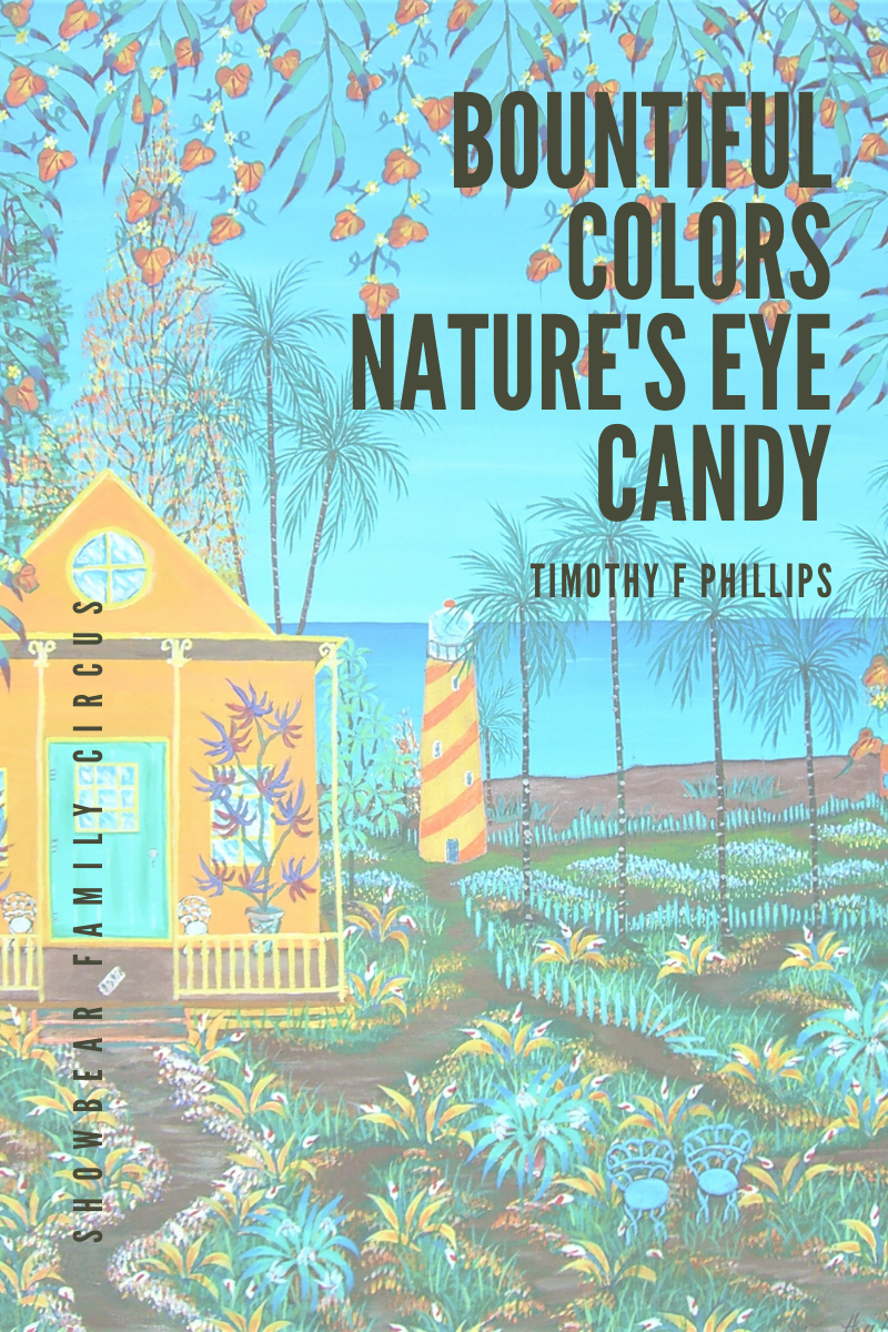 Bountiful Colors Nature’s Eye Candy