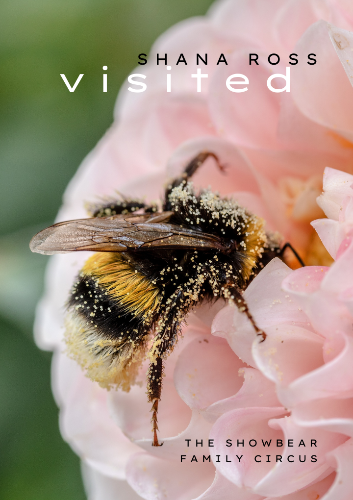 Visited. Shana Ross.