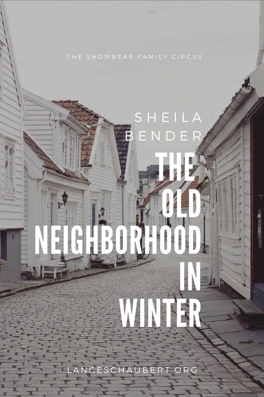 old neighborhood in winter