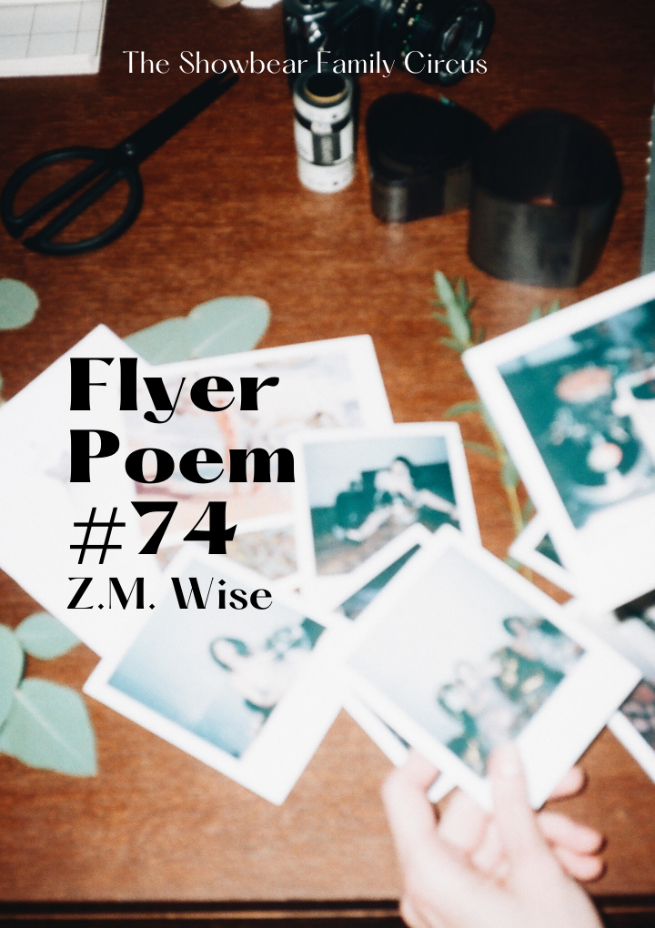 ZM Wise. Flyer Poem #74.