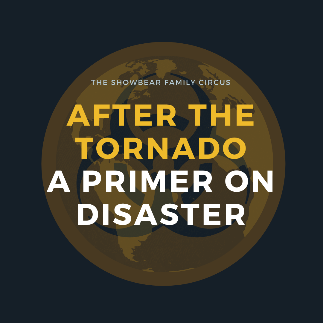 after the tornado a primer on disaster