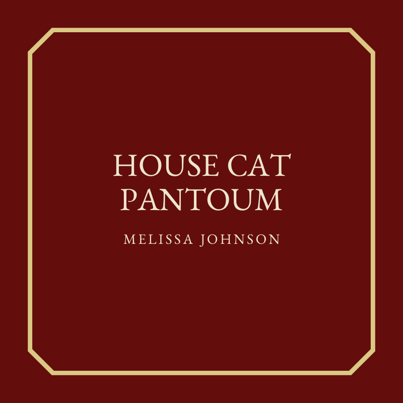 House Cat Pantoum