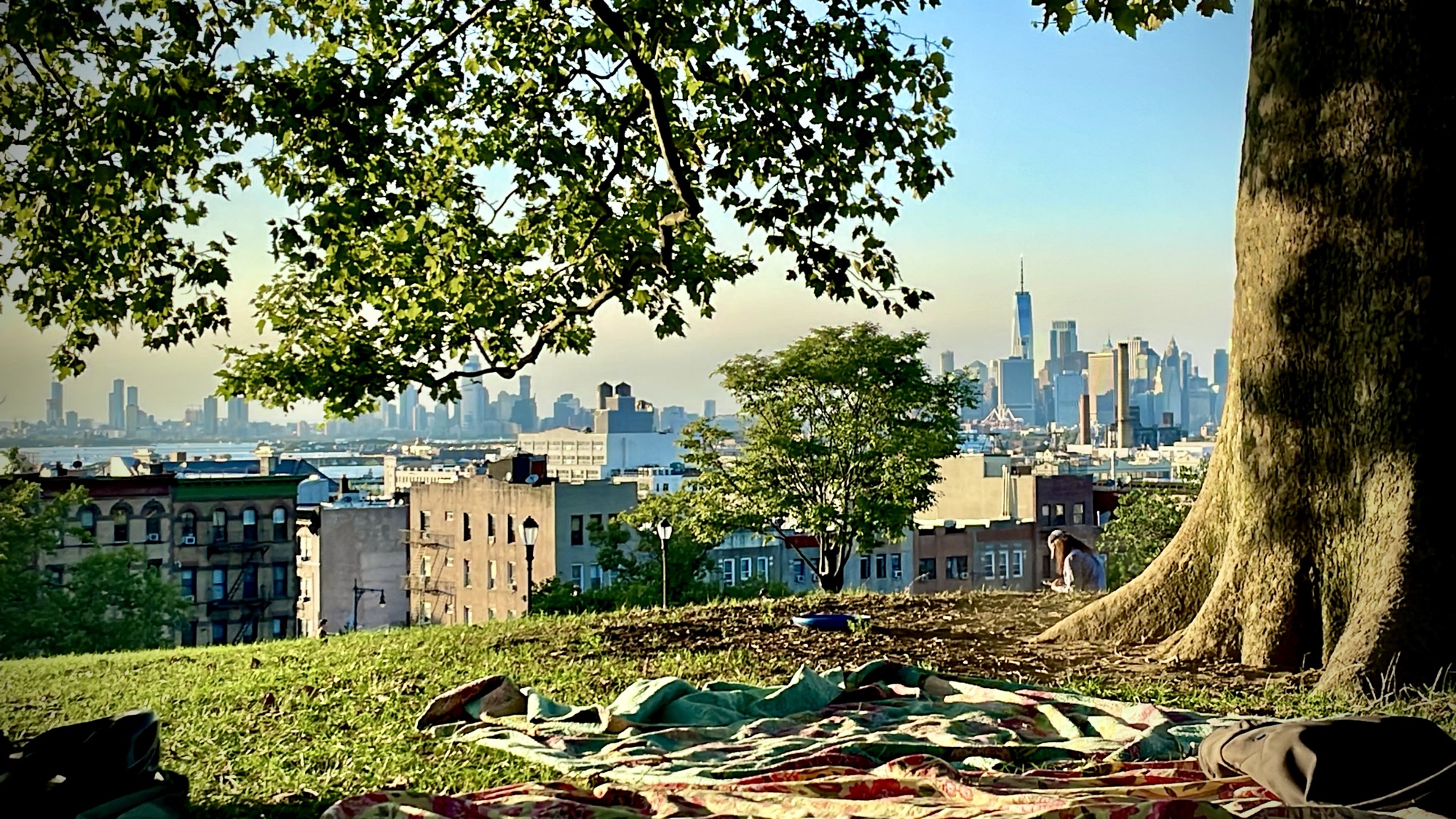 Hudson Bay and NYC from Sunset Park