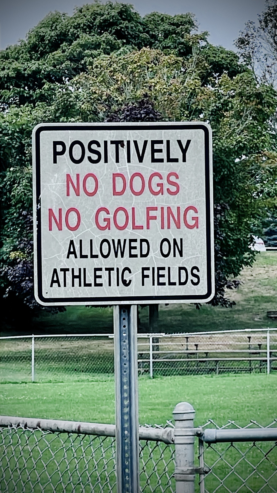No Athletics on the Athletic Field — Unique New York Signs