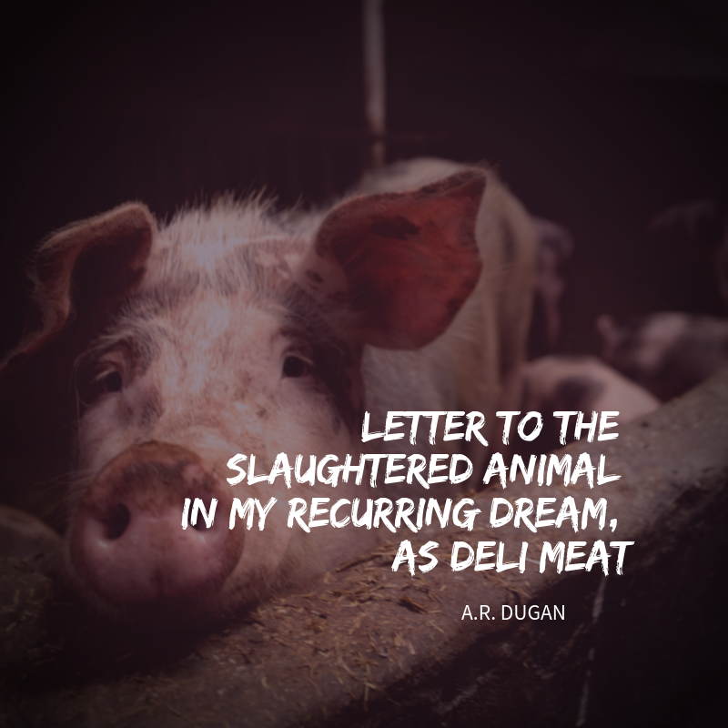 Letter to the Slaughtered Animal in my Recurring Dream, as Deli Meat