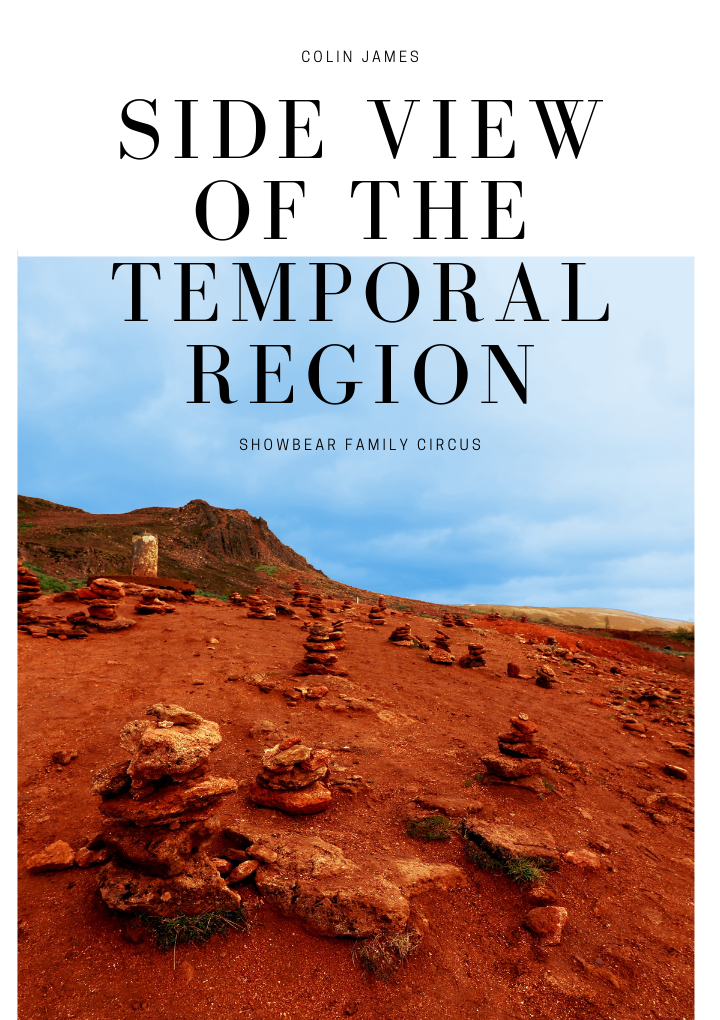 side view of the temporal region