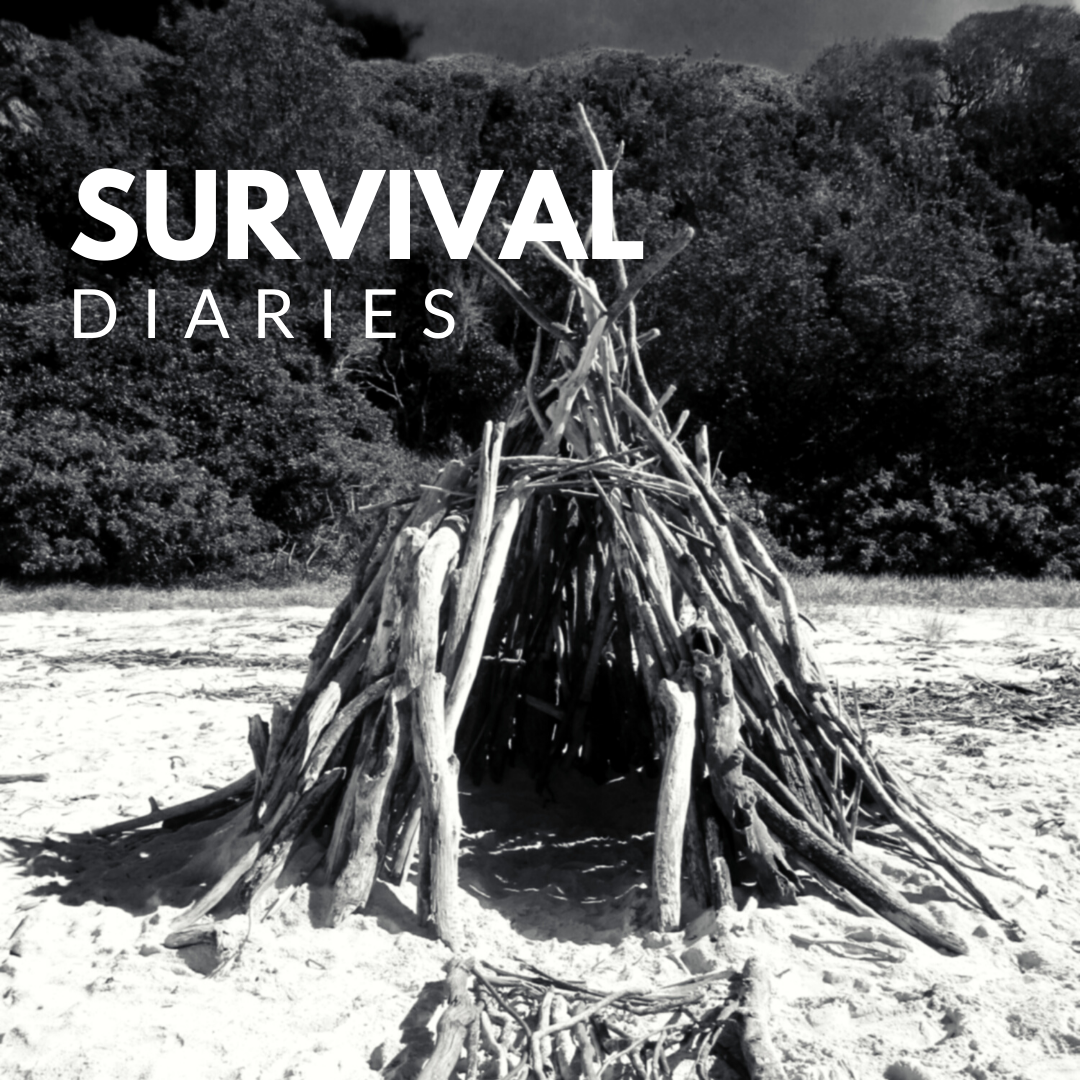 Survival Diaries