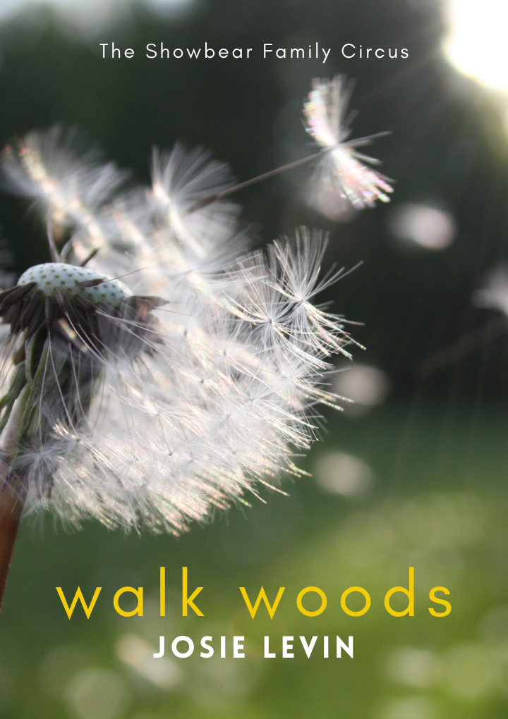 walk woods. josie levin.